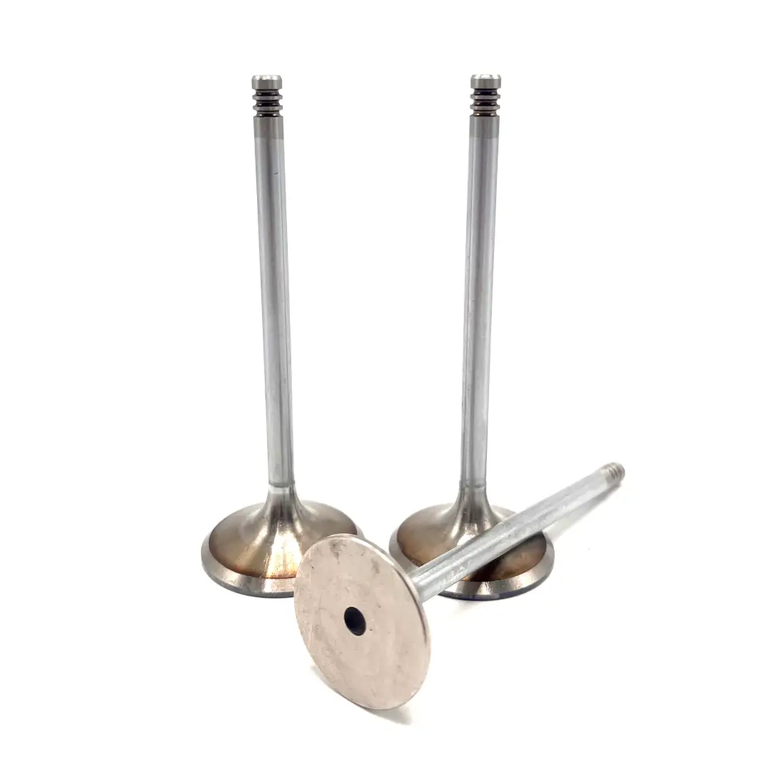 سوپاپ دود و بنزین تیبا